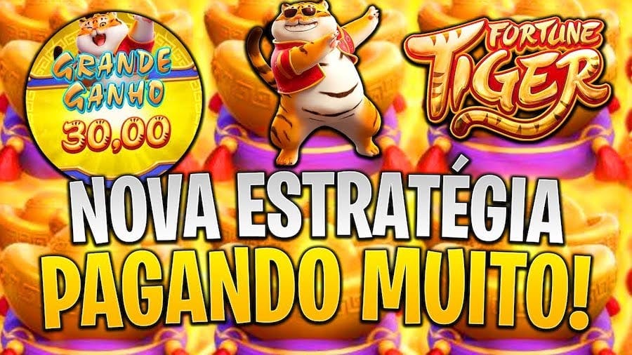 como baixar e instalar o pinnacle studio 20
